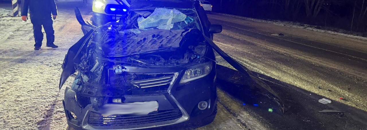 13 декабря, примерно в 19:50, в Рязанском районе на 547-ом километре автодороги Р-132 «Золотое кольцо», 53-летний житель Нижегородской области, управляя грузовым автомобилем «Фотон», по предварительной информации, совершил...