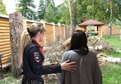 Неожиданная уголовная справа: как вырубка деревьев стала причиной судебного разбирательства