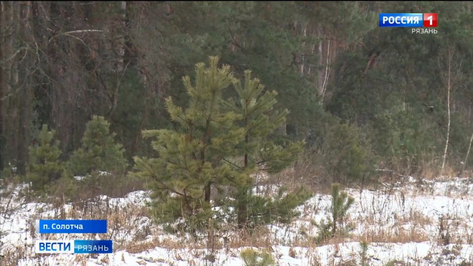 � ����� � ������������ ����������� � ������� ������� ������ ������� �����