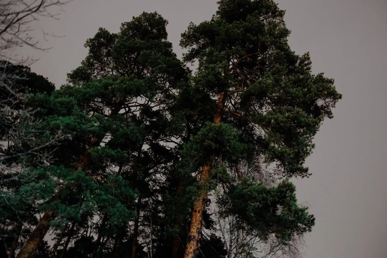 Павел Малков: Вчера вечером провёл выездное совещание по развитию Солотчи Павел Малков: Вчера вечером провёл выездное совещание по развитию Солотчи