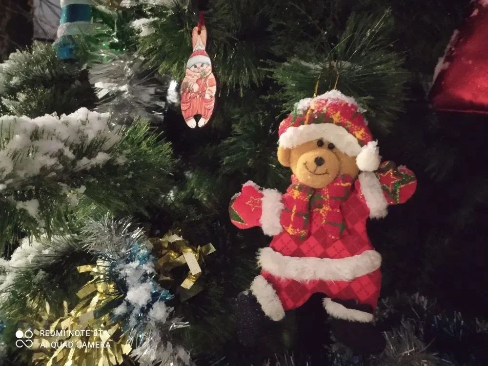 До конца года у всех жителей Рязани есть возможность поучаствовать в конкурсе «Лучшее новогоднее оформление территории проживания» в любой из четырех номинаций: До конца года у всех жителей Рязани есть возможность поучаствовать в конкурсе «Лучшее новогоднее оформление территории проживания» в любой из четырех номинаций: