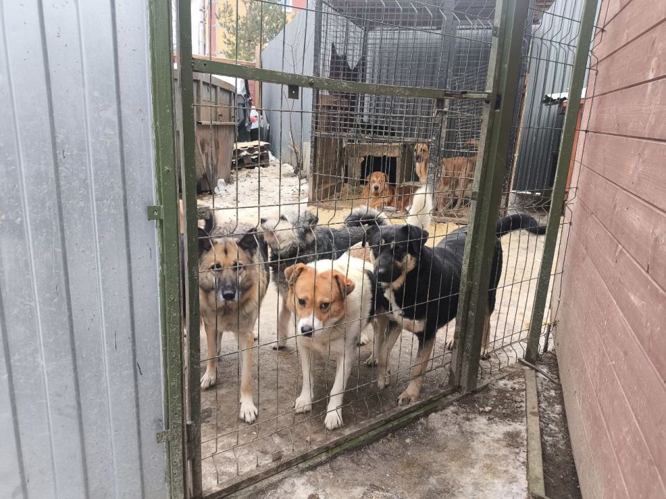 ���������� ����� ������������� ������ ������ ��������� � ������������ ������������� ������ ����, �������, ������� ��� ����� � �����, ������� ��������� �� ��������� ��������� �������