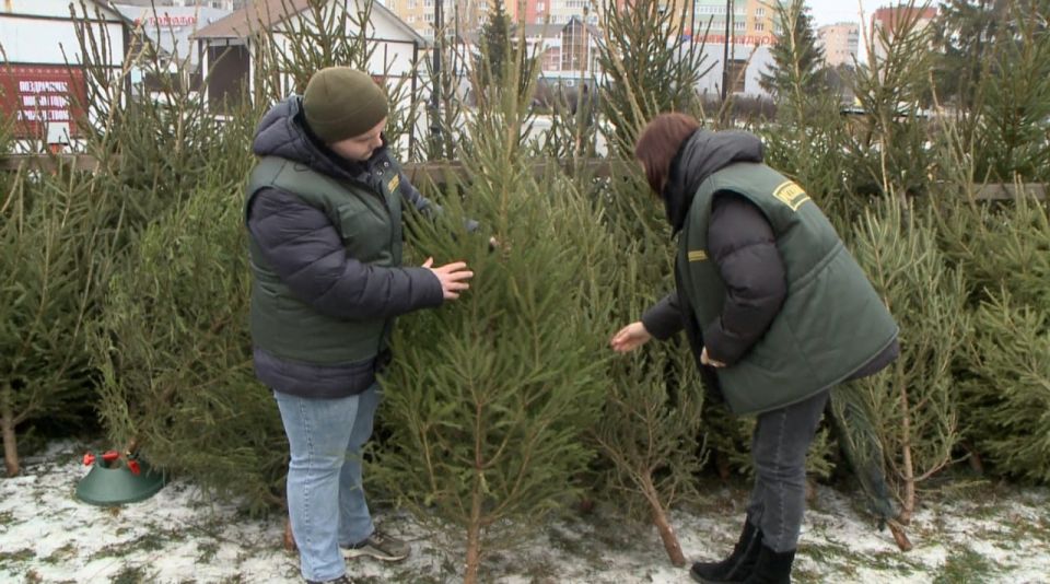 � ������ ������ ���� �� ������� �������