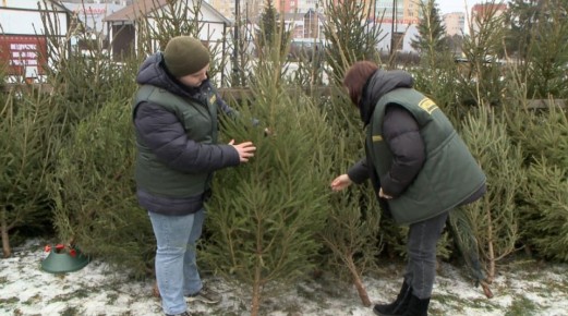 � ������ ������ ���� �� ������� �������