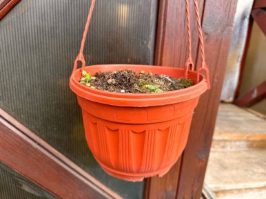 ������� �������: ��� �� ������ ������� � ������ �������� �� ����