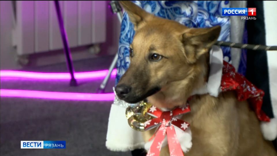 � ��������� ���� �������� ������ "��������� ����� ���"