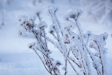 ������� ������ �� ����� �� ���������� ���������� ����