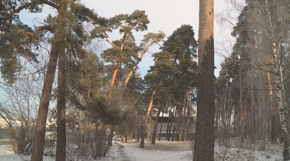 � ������ ������ ���������� �� ������������� ��������� � "�������� ����"