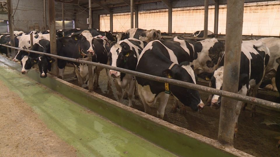 ��������� ������� ���� ������� �� ������������ ������