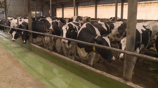 ��������� ������� ���� ������� �� ������������ ������