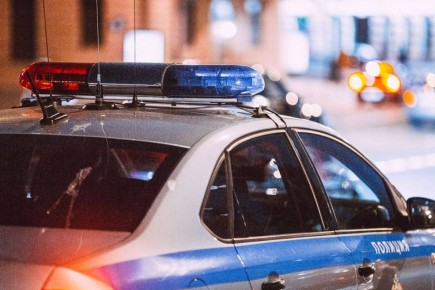 ������� ������ ������ ���� ����������