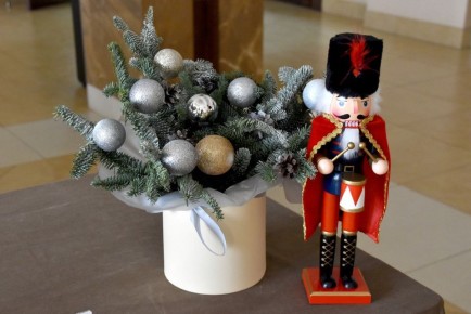 29 ������� � ������ ������� �������� ������ ����������