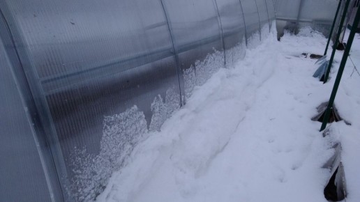 ����������� � ��������: ��� ���������� � ������ �����, ���� ���� �� �������