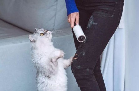 ����������� ������ �� �������� ������ �������� ��� ������