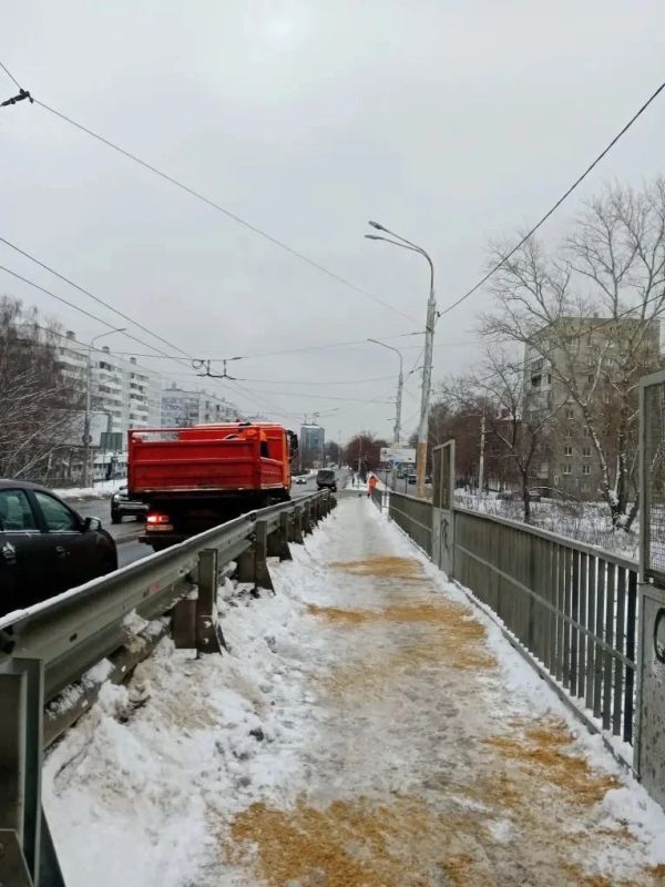 ���� 29 ������� ������������ ������ �����