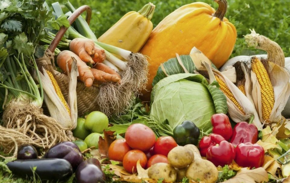 25 ������� �������� �������� ��� ������� ������