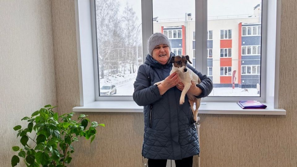 � ��������� ������ 65 ����� �������� ����� �� ����� �������