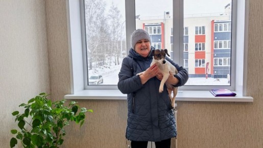 � ��������� ������ 65 ����� �������� ����� �� ����� �������