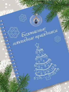 Рязанское следственное управление напоминает простые правила безопасного отдыха в новогодние праздники