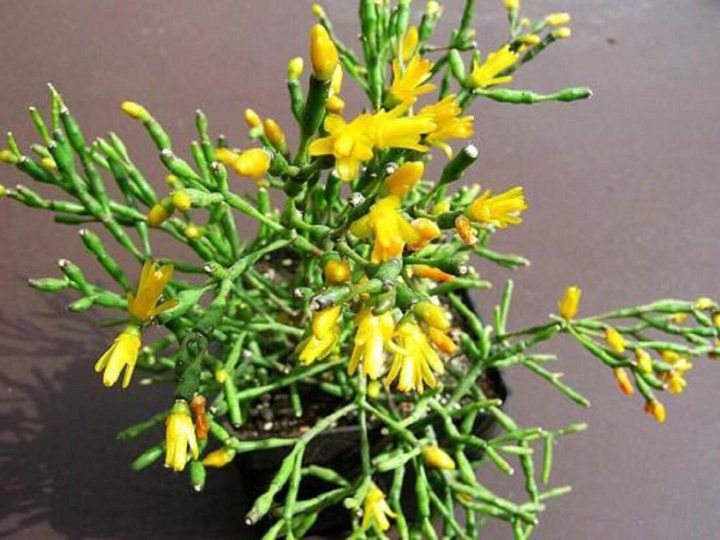 �������: ���� � ��������� ����� �� ���������� ��������� ���������