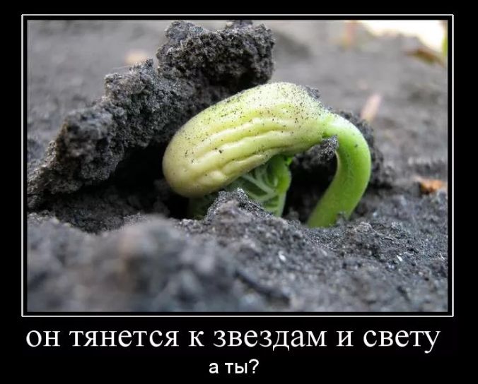 �������� ���������� ���� � ������������: ���������� �������