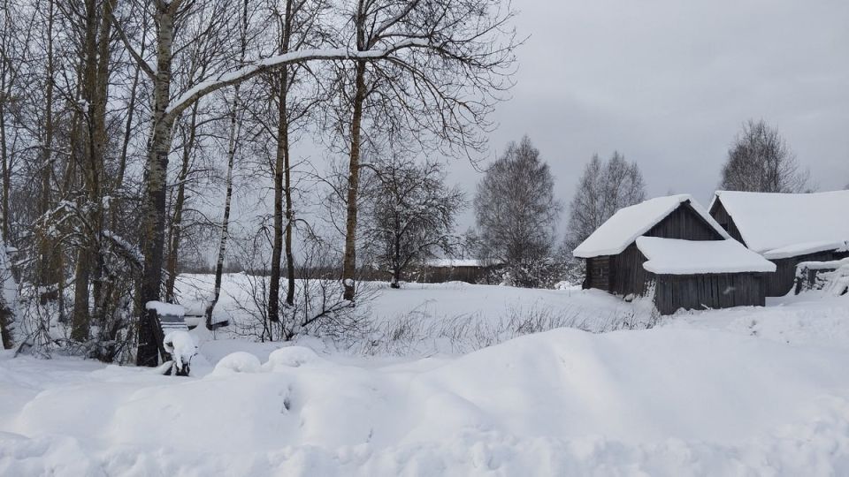 ������� �������� ������� ���� ������������ ������ ��� ����������������