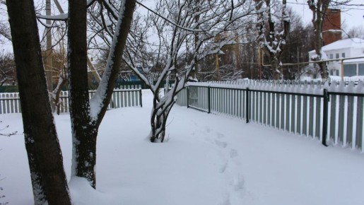 ������ �������� ������� � ������ ������� ����� 40 �����������