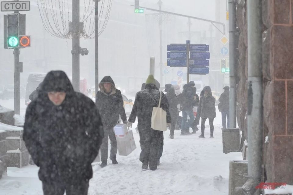 ������� �����������: ������ �������� ������� � ��������� ������