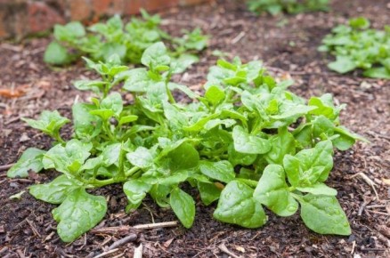 ������ ������� ���������� �������: 10 ������ ��������� ��� ������ ����