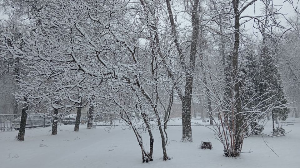 ������� ������ �� ������� �� ���������� ���������� ����