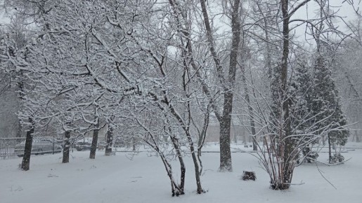 ������� ������ �� ������� �� ���������� ���������� ����