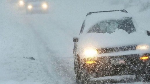 �� ������ ���������� ����������������, 12 ������ � ��������� ������� ����� �������