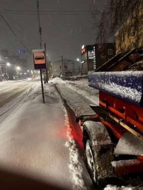 � ���� �� 12 ������ � ������ �������� ��������, ���������, ��������, ����������, ���, �������� - � ����� ��������� 41 ������� ������� ��� � ��������� �����������