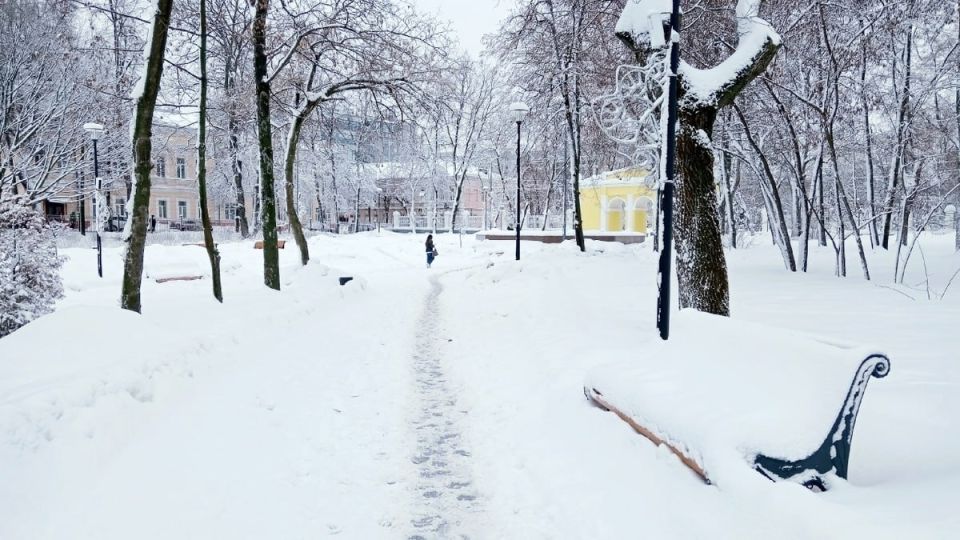 ������� ������ �� ������� �� ���������� ���������� ����