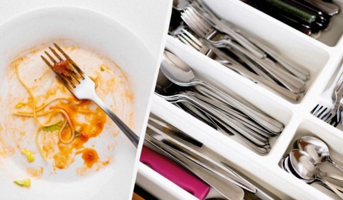 ��� ������� ����� ����� ������: ������� � ����������� ������� �������