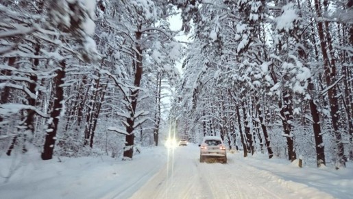 ������� ������ �� ����� �� ���������� ���������� ����