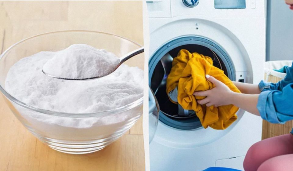 ������ ����� ������������ ���� � ���������� ������: ������� ����������� ������