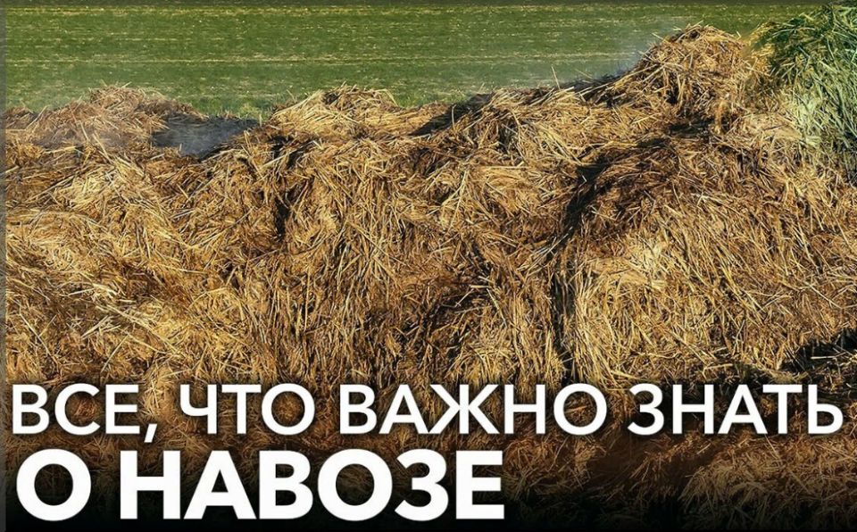 ������ ����� ������: ����������� ��������� ����� ������������� ����������