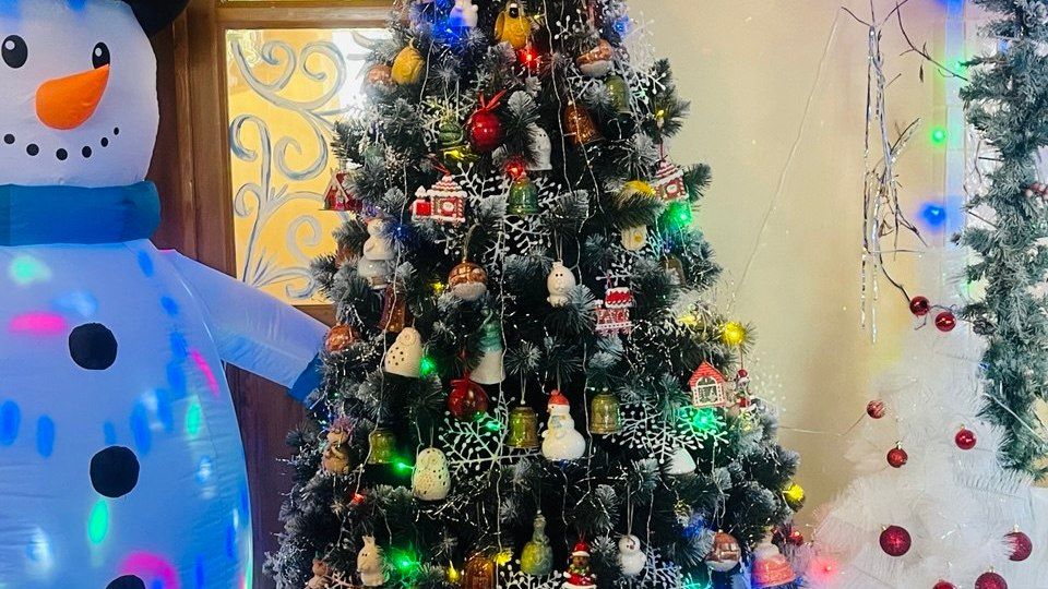 ���������� ��� ������� �� ������ ������-����������� �� ������������� �������� ����� ������ ����� 1500 �������