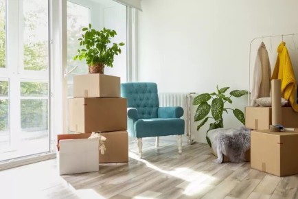 ��� ������������ �� ������� � �������� ��������: �������� ������