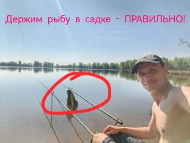 Как сохранить рыбу в жаркую погоду: секреты опытных рыболовов