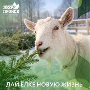 ����-������ ���������� ������������ ���� ������� �������� ��� ����������