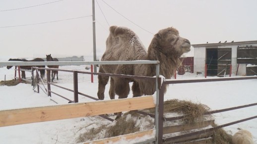 ������� � ���������� ������ ���� ���� �������� ��������� ����� ����-�������