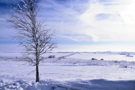 ������� ������ �� ������� �� ���������� ���������� ����