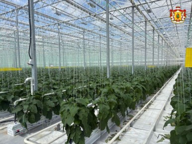 � ��������� ������� ������� ������������ ��������� ������