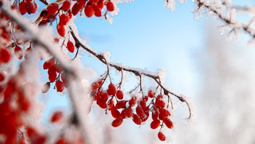 ������� ������ �� ������� �� ���������� ���������� ����