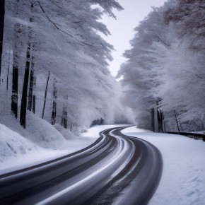 ������� ������������. ���������������� �������� �������� ���� ���������� ��������� �������� �� �������� ������� � ����� �������