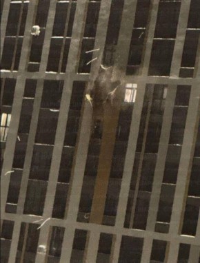 ����������� ��������� ����� � ����������� � ������