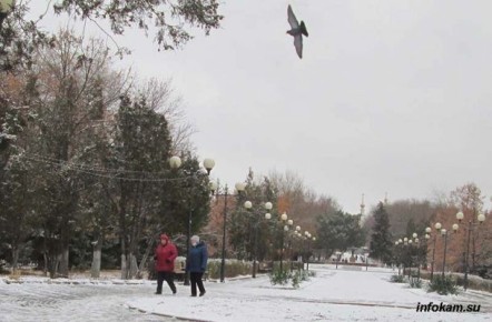 ���������� ����� � 2026 ����: ��� �������� � ��� ��� ����