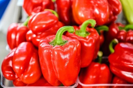 ��� ������ �� �������� ������: ����� �� ����� ���� � ����